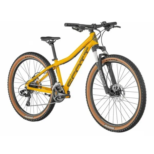 Scott Roxter 26" Disc 2022