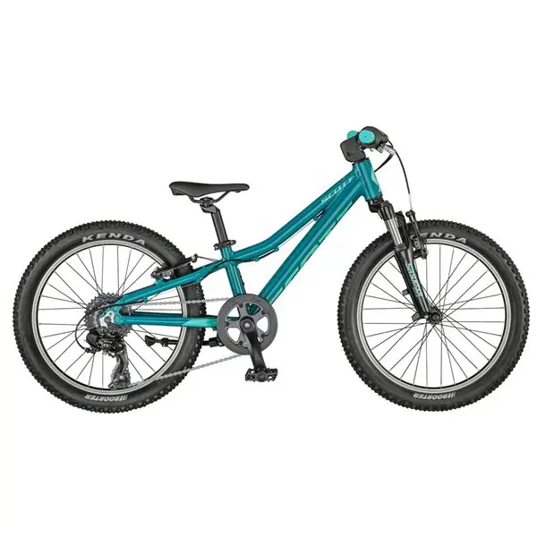 Scott Roxter 20" 2021