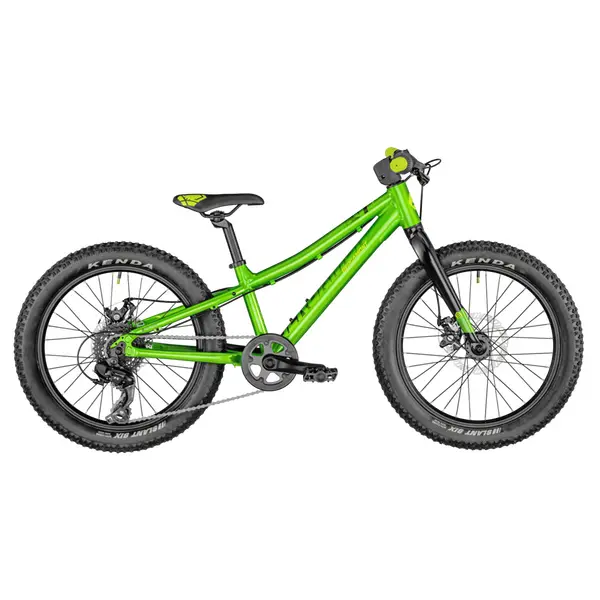 Bergamont Bergamonster 20" PLUS